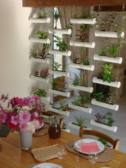 le rideau végétal, mur végétalisé interieur exterieur